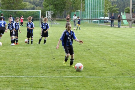 E-Junioren_SGM_MM_2013_2014_ (11).JPG