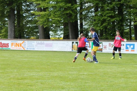 E-Junioren_SGM_MM_2013_2014_ (23).JPG