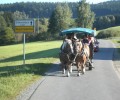 Kutschfahrt.JPG