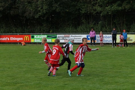F-Jugend_SGM_MM_Spieltag_1_TSV_Blaubeuren_ (29).JPG