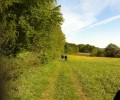 Vatertags- wanderung.jpg